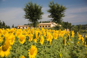 Отель Le Fiabe Hotel Resort  Нумана